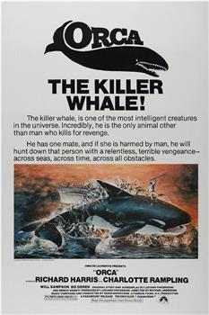 杀人鲸在线观看和下载