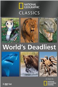 世界致命动物系列：印度篇在线观看和下载