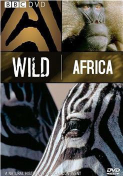 野性非洲在线观看和下载