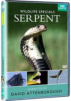 野生动物系列—蛇在线观看和下载