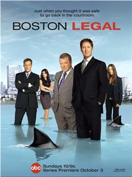 波士顿法律 第一季在线观看和下载
