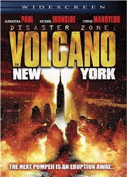 灾难地带：纽约火山在线观看和下载