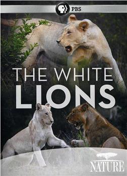 白狮成长记在线观看和下载