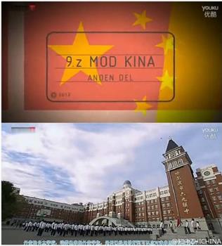 丹麦9年z班 VS 中国初三13班在线观看和下载