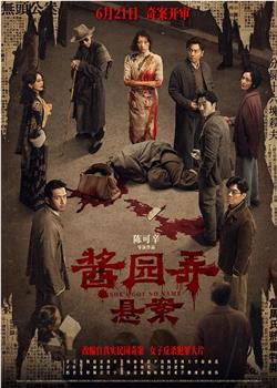 酱园弄·悬案在线观看和下载