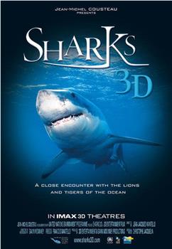 鲨鱼3D在线观看和下载