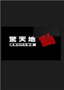 惊天地动：直击汶川大地震在线观看和下载