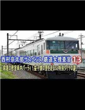 鉄道捜査官13 殺意の密室車内パーティ！ 益子焼の里を走るSL特別ダイヤの謎在线观看和下载