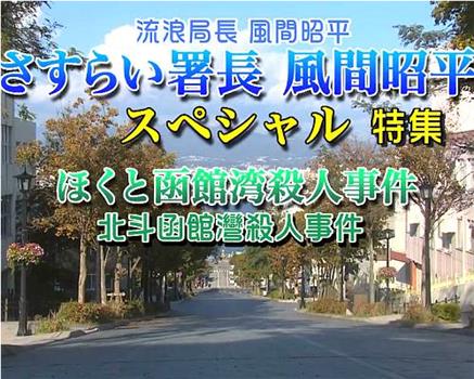 流浪局长风间昭平特集在线观看和下载