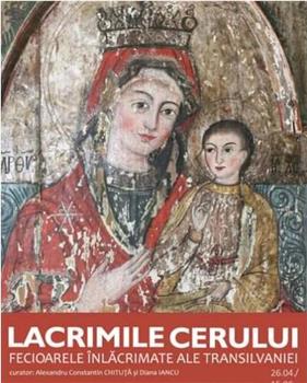 Lacrima cerului在线观看和下载