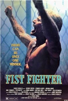 Fist Fighter在线观看和下载