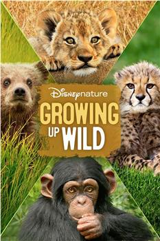 Growing Up Wild在线观看和下载