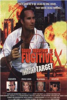 Fugitive X: Innocent Target在线观看和下载