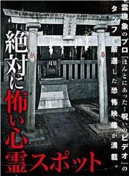 絶対に怖い心霊スポット在线观看和下载