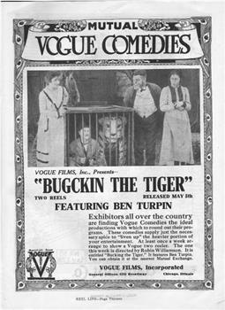 Bucking the Tiger在线观看和下载
