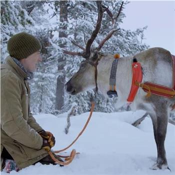 Reindeer Family & Me在线观看和下载