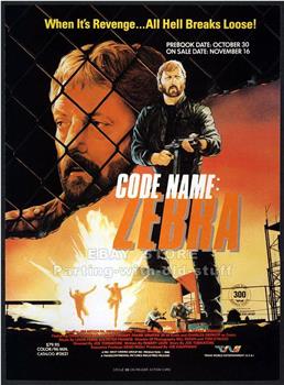 Code Name Zebra在线观看和下载