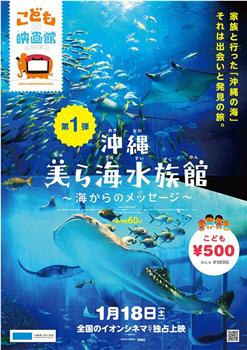 冲绳美之海水族馆在线观看和下载