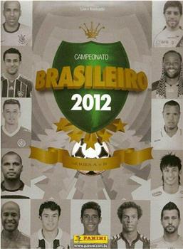 2012年巴西足球甲级联赛在线观看和下载