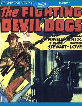 The Fighting Devil Dogs在线观看和下载