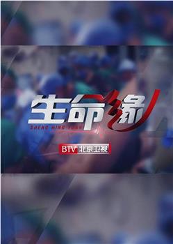 生命缘·再战新冠在线观看和下载