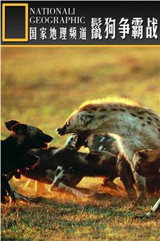 鬣狗争霸战在线观看和下载