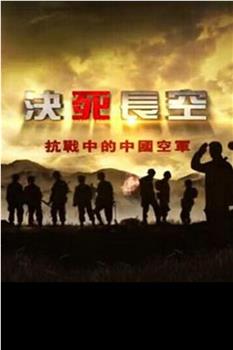 凤凰大视野：抗战中的中国空军在线观看和下载