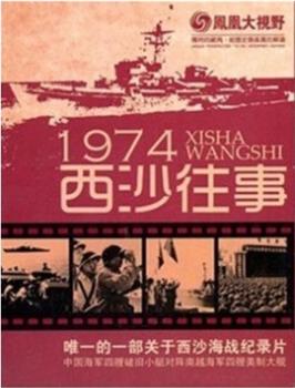 凤凰大视野：1974西沙往事在线观看和下载