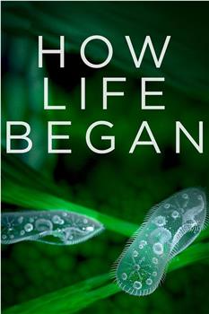 How Life Began在线观看和下载