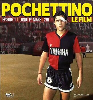 波切蒂诺电影纪录片在线观看和下载