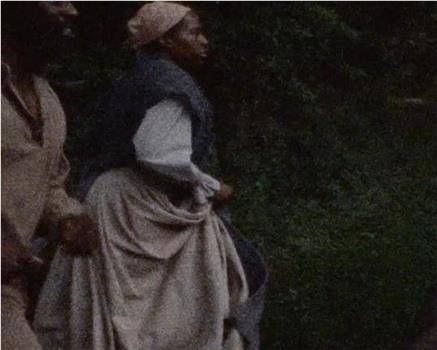 Harriet Tubman: Visions of Freedom在线观看和下载