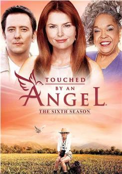 天使在人间 第六季在线观看和下载