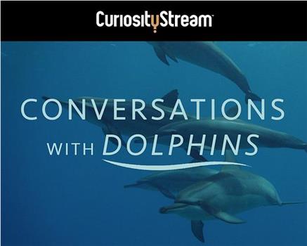 Conversations With Dolphins Season 1在线观看和下载