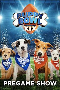 Puppy Bowl XIX Pregame Show在线观看和下载