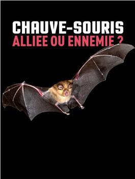 Chauve-souris : alliée ou ennemie ?在线观看和下载