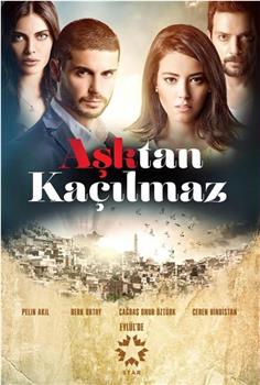 Asktan Kaçilmaz在线观看和下载