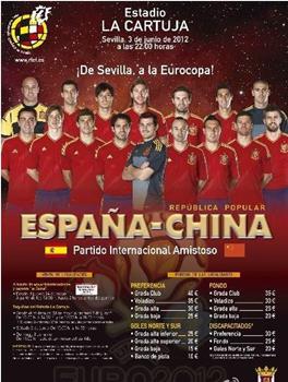 2012年欧洲杯热身赛 西班牙Vs中国在线观看和下载