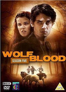 狼血少年 第五季在线观看和下载