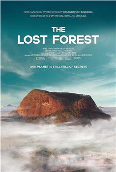 The Lost Forest在线观看和下载