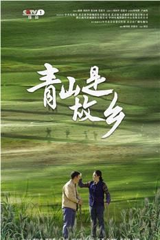 青山是故乡在线观看和下载
