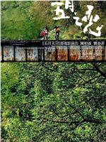 五月之恋ftp分享