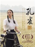 孔雀ftp分享