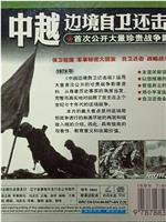 战争档案--中越边境自卫还击战