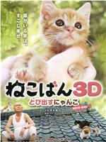 小猫跳出来3Dftp分享