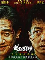 猎狐·行动