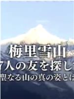 梅里雪山：寻找17位友人