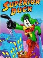 Superior Duck