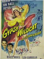 Gypsy Wildcat