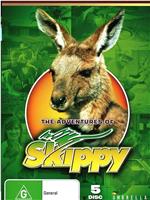 The Adventures of Skippy