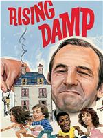 Rising Damp